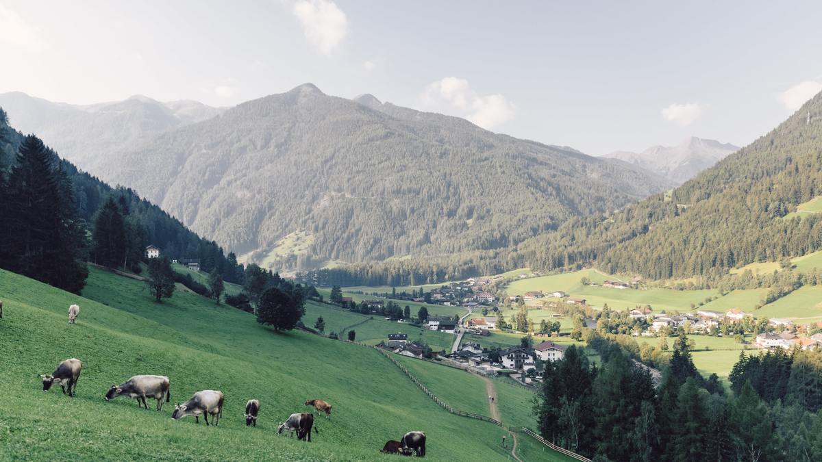 Facettenreiche Naturregion