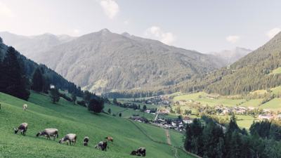 Summer in the Ahrntal Valley 7=6